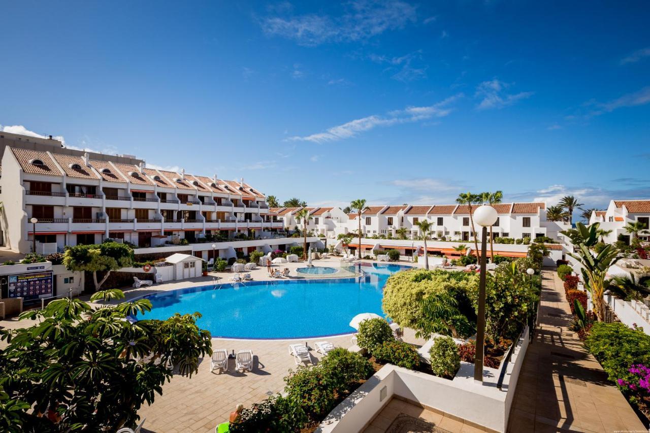 Go2Tenerife Apart'Pesca Rooftop Santiago 1 Плая-де-лас-Америкас Экстерьер фото